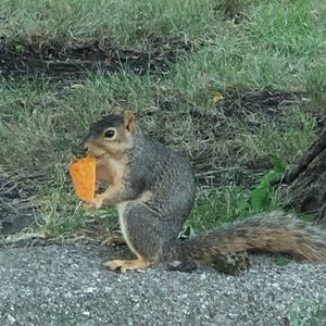 Meet your Posher, Jamie